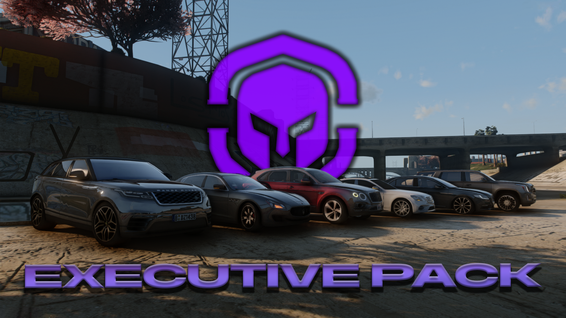 Executive Pack product banner